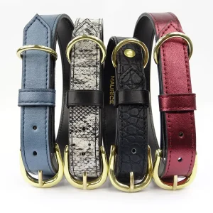 Collier pour chien en cuir GORILLA BERINGEI BERINGEI
