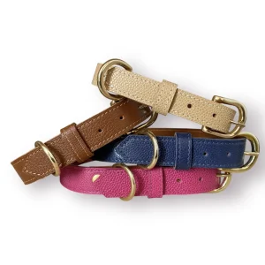 Collier pour chien en cuir grainé AILURUS FULGENS