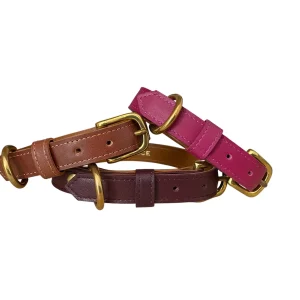 Collier pour chien en cuir HYÆNA BRUNNEA