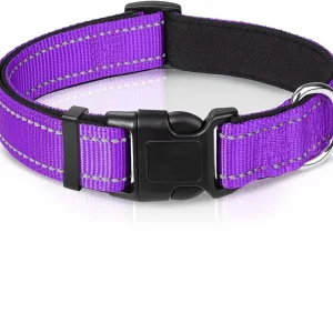 Collier pour chien réfléchissant