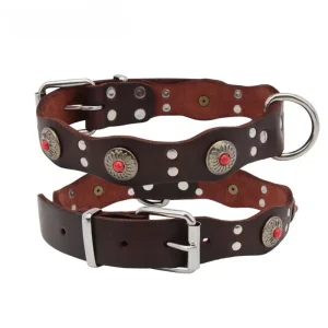 Collier pour chien rottweiler