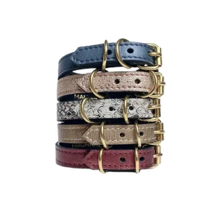 Collier pour chihuahua en cuir MEGAPTERA NOVAEANGLIAE
