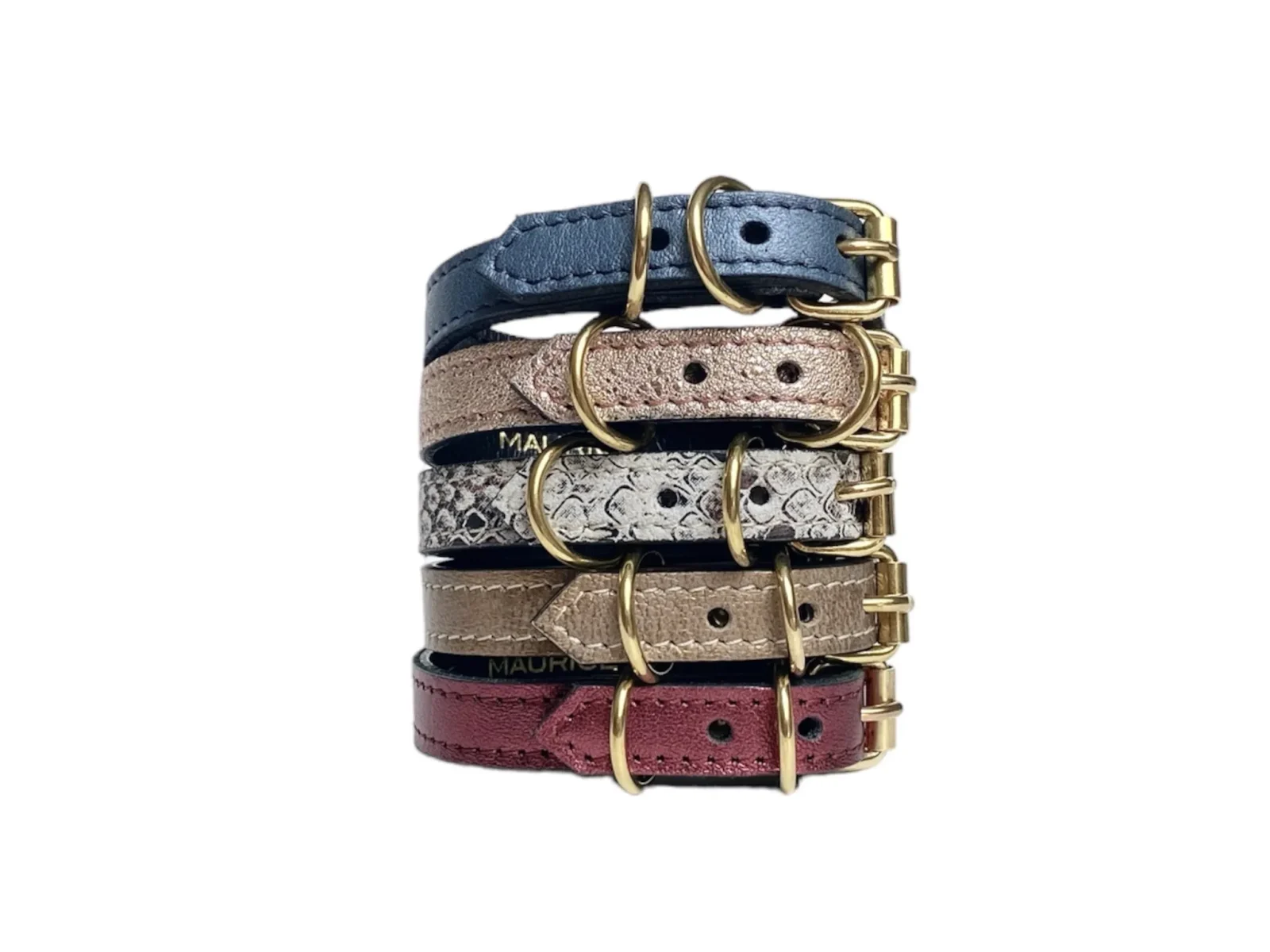 Collier pour chihuahua en cuir MEGAPTERA NOVAEANGLIAE