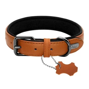Collier pour gros chien cuir