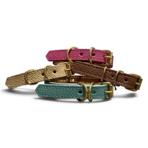 Collier pour petit chien en cuir grainé ATELES HYBRIDUS