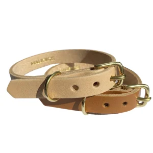 Collier pour petit chien en cuir LYCAON PICTUS