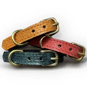 Collier pour petit chien en cuir marin PONGO