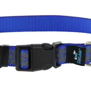Collier réfléchissant bleu chien