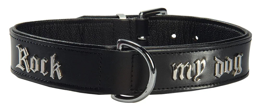 Collier « Rock my Dog » – Les Animaux de Compagnie