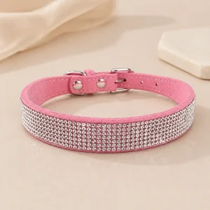 Collier rond pour chien poils longs