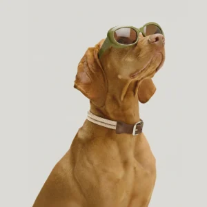 COLLIER ROSA. Crème – Collier chien corde tressée & cuir