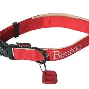 Collier rouge pour chien Benton fr