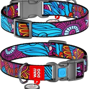 Collier summer 15 mm chien
