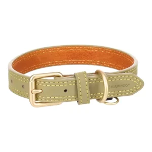 Collier Virginia Vert (M/L) – Flamingo J’ai plus de croquettes