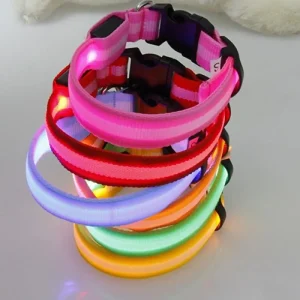 Colliers lumineux pour chiens