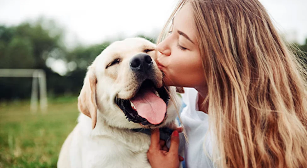 Combien de fois il faut vermifuger un chien ?