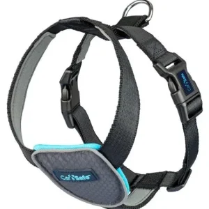 Company Of Animals Carsafe Dog Voyage Black Harness – France