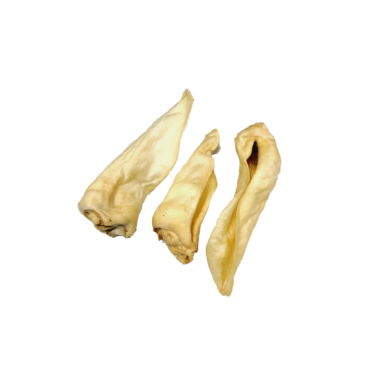 Competition Oreilles de chèvre Adult