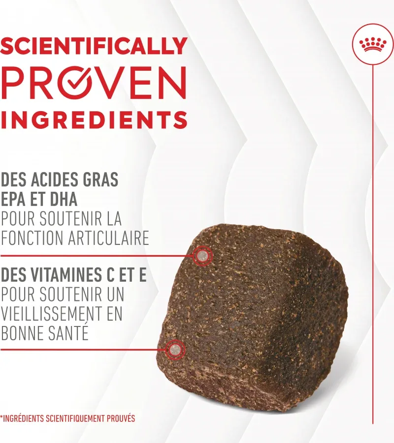 Compléments Royal Canin Joint & Ageing Chews chien - Image 2
