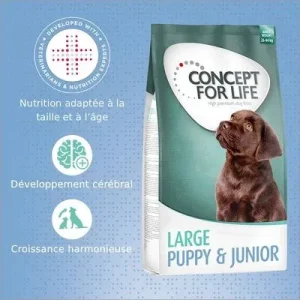 Concept for Life Large Junior