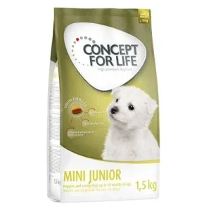 Concept for Life Mini Junior