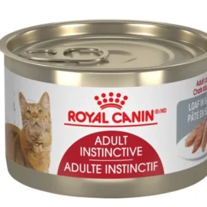 Conserve en PÂTÉ instinctif, chat, Royal Canin 145g