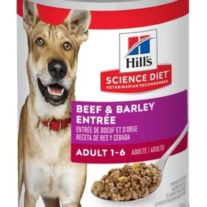 conserve pour chiens, entrée de boeuf et d’orge, Science Diet, 13 oz (370 g)