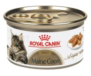 Conserve pour Maine Coon, Fines tranches en sauce, Royal Canin, 85g
