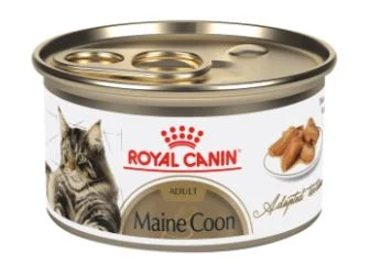 Conserve pour Maine Coon, Fines tranches en sauce, Royal Canin, 85g