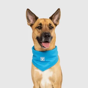 Cooling Bandana