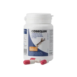 Cosequin - Chat