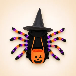 Costume halloween arraignée lumineux chien