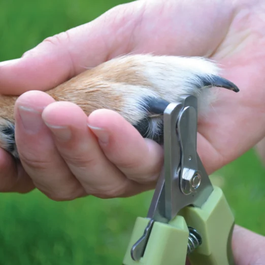 Coupe-griffes pour animaux, Safari - Image 2