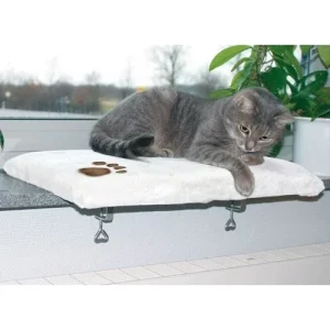 Coussin de fenêtre Cozy Place chat
