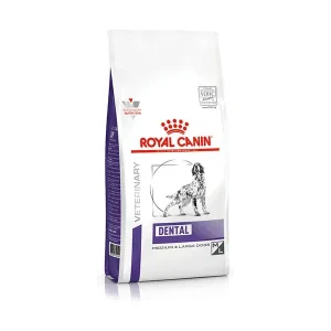 Croquettes chiens Royal Canin Dental 13 kg
