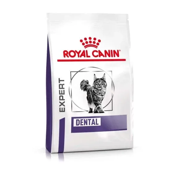 Croquettes Royal Canin Dental pour chats