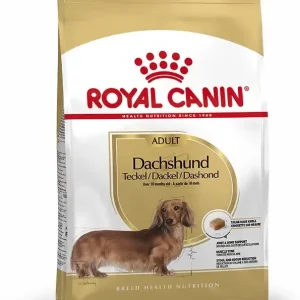 Dachshund « Teckel » (7.5 kg) – Royal Canin J’ai plus de croquettes