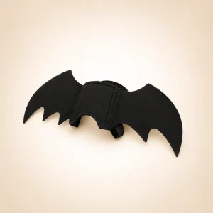 Déguisement chauve souris chien halloween