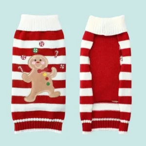 Deguisement noel chihuahua