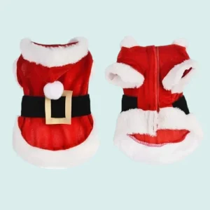 Déguisement pere noel chihuahua
