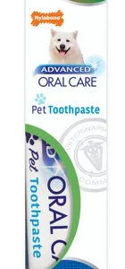 Dentifrice pour chien au beurre d’arachides, Nylabone, 70g