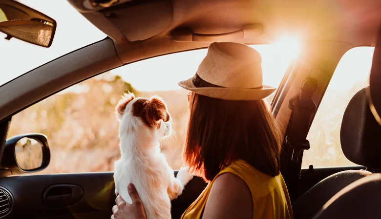 Lorsque vous emmenez votre animal en vacances, il est important de tenir compte des dangers que d'autres pays peuvent présenter pour votre animal.