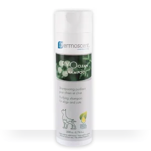 Dermoscent PYOclean Shampoing purifiant chien, chat