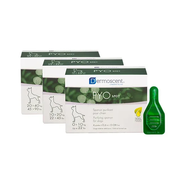 Dermoscent® PYOspot® pour Chien – 4 pipettes