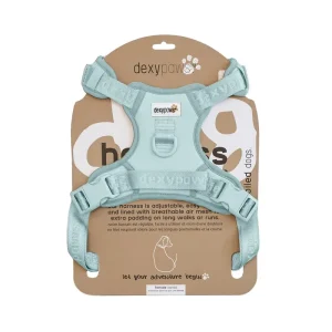 DEXYPAWS Harnais Sans Traction Bleu Ciel M