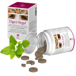 Digest Regul