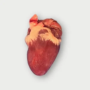 Dinde – coeur – 10×2.5 kg