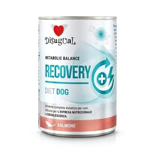 Disugual Croquettes humides Salmon Recovery pour chiens – France