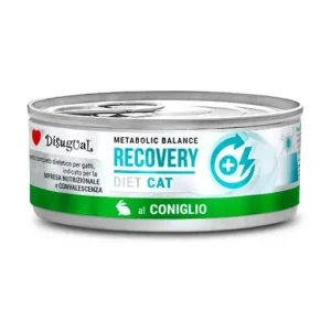 Disugual Nourriture humide Rabbit Recovery pour Chats – France