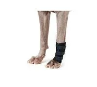 Dog Copenhagen Back-on-Track Accessoire pour Chien Protection de Patte Avant Problèmes Articulaires Noir Taille L 5 Unités – Comparez les prix et achetez sur